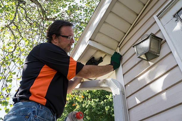 Best Custom Siding Design  in Triana, AL